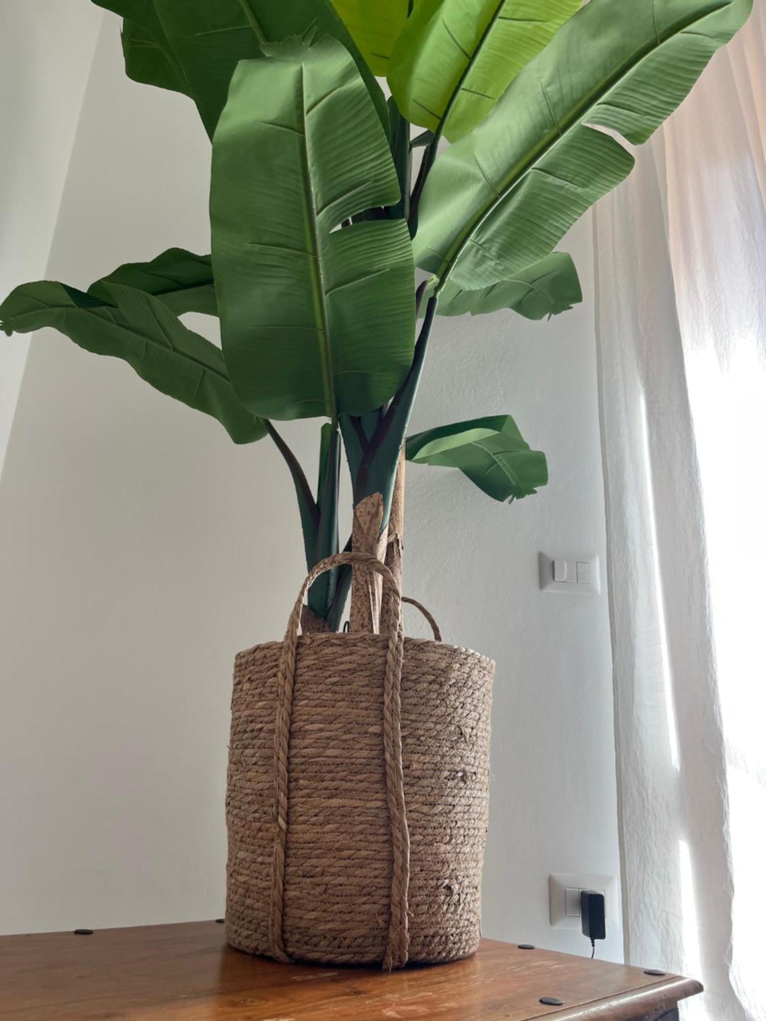 Kennedy Family Apts Alghero Ngoại thất bức ảnh